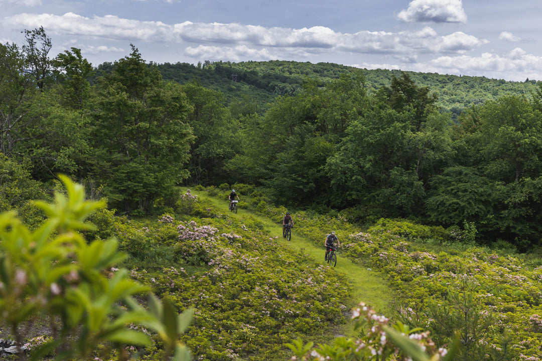 Bikepack West Virginia